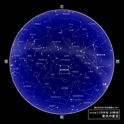 11月25什麼星座|阳历11月25日是什么星座